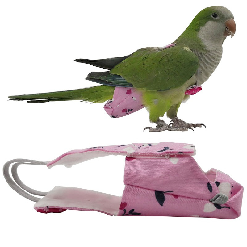 Parrot Diaper with Bowtie Cute - Plant Parenthood recension och pris