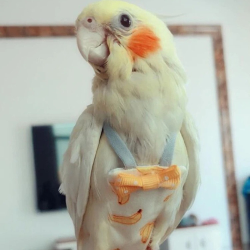 Parrot Diaper with Bowtie Cute - Plant Parenthood recension och pris