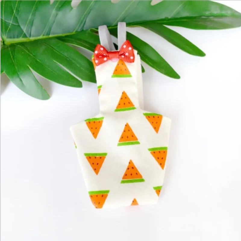 Washable Parrot Diaper Flight  - Plant Parenthood recension och pris